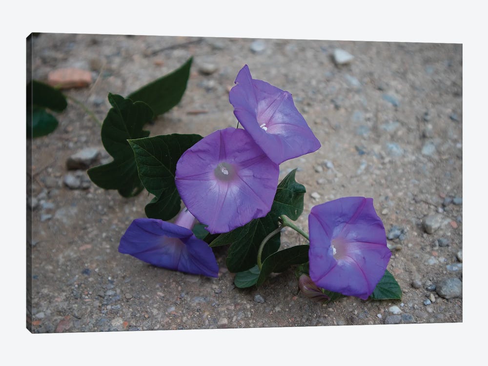 Blue Flowers On The Ground by Kateryna Bortsova 1-piece Art Print