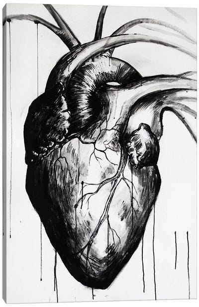 Heart Canvas Art Print - Anatomy Art