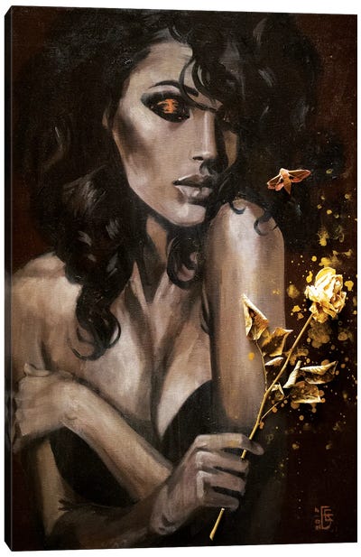 Secrets Of The Night Canvas Art Print - Kateryna Bortsova