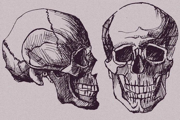 Skull