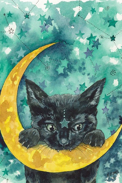 Canvas Wall Art By Kat Fedora Icanvas