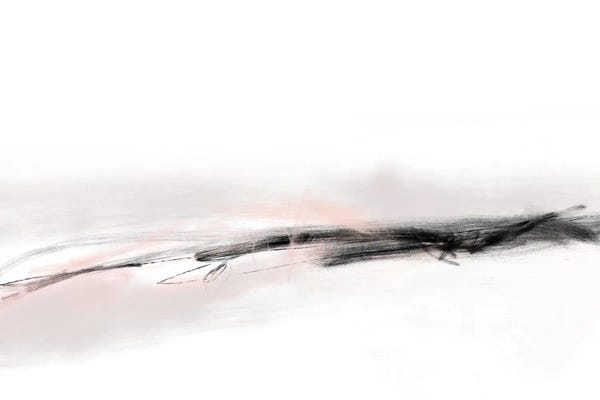 Karine Tonial Grimm: Fly I by Karine Tonial Grimm