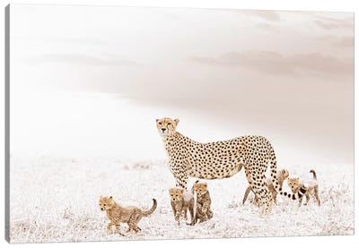 White Cheetah & Cubs Canvas Art Print - Minimalist Wildlife Photography