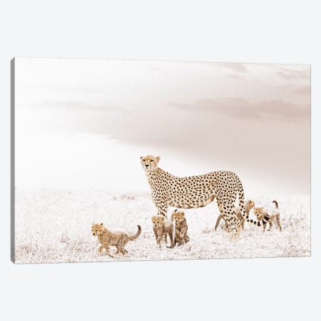 White Cheetah & Cubs Canvas Print #KTI24} by Klaus Tiedge Canvas Wall Art