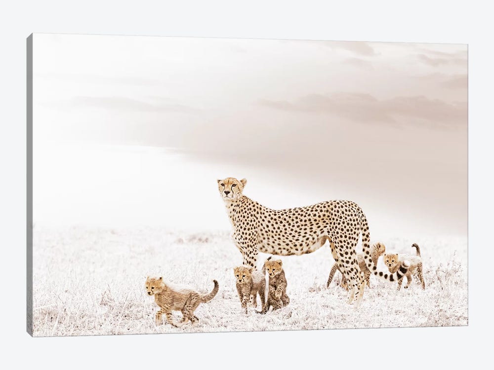 White Cheetah & Cubs by Klaus Tiedge 1-piece Canvas Artwork