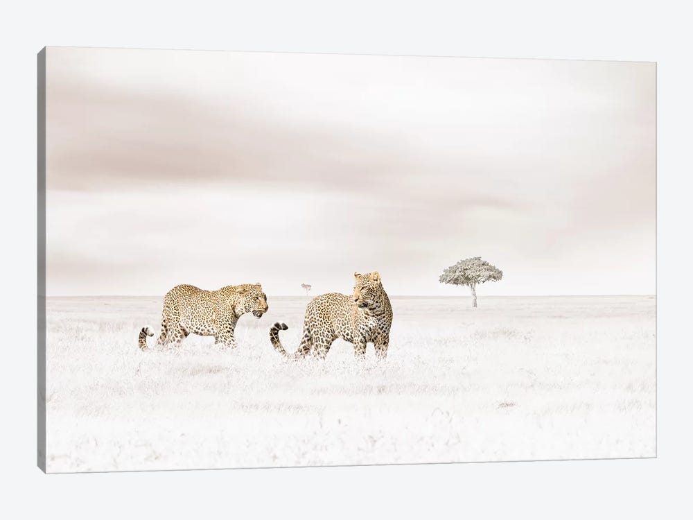 White Leopards  by Klaus Tiedge 1-piece Canvas Art
