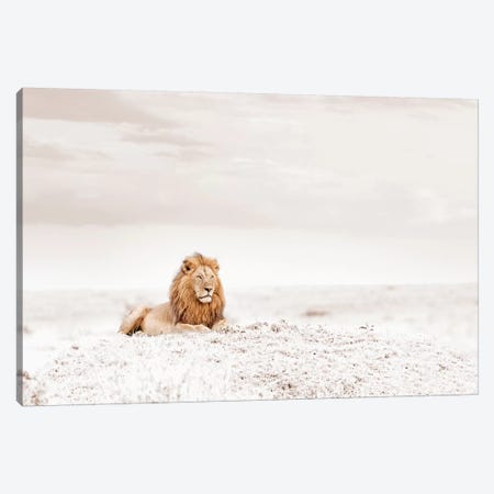 White Lion  Canvas Print #KTI29} by Klaus Tiedge Art Print