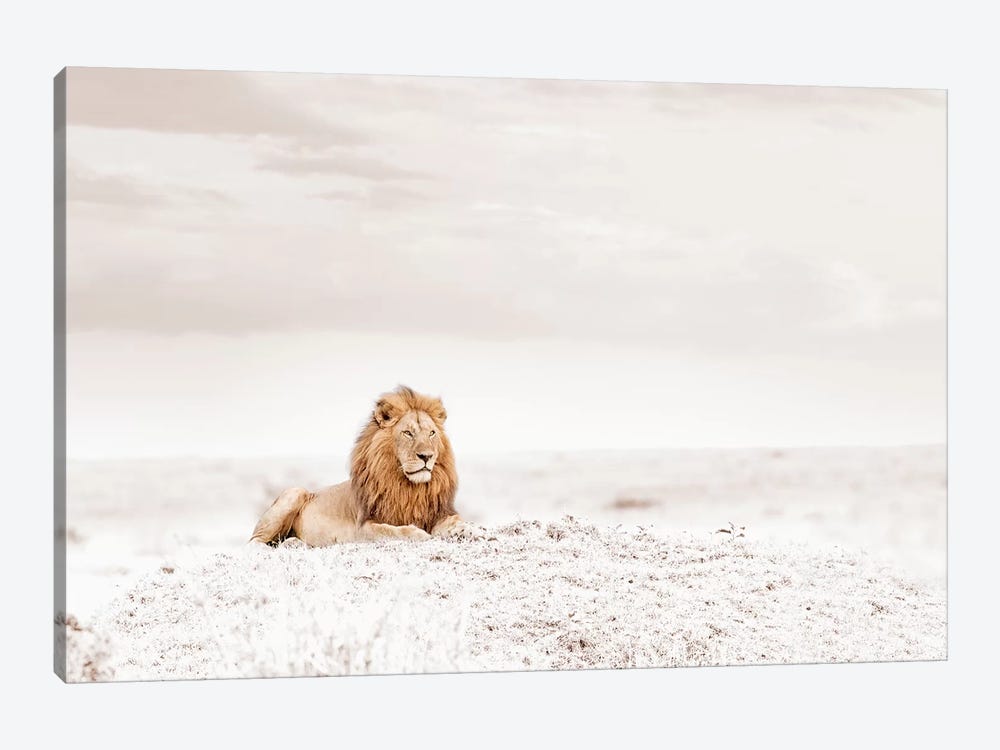 White Lion  by Klaus Tiedge 1-piece Canvas Print