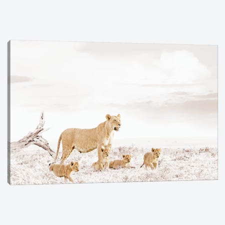 White Lioness & Cub Canvas Print #KTI30} by Klaus Tiedge Canvas Art