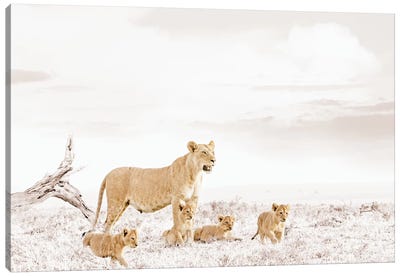 White Lioness & Cub Canvas Art Print - Klaus Tiedge