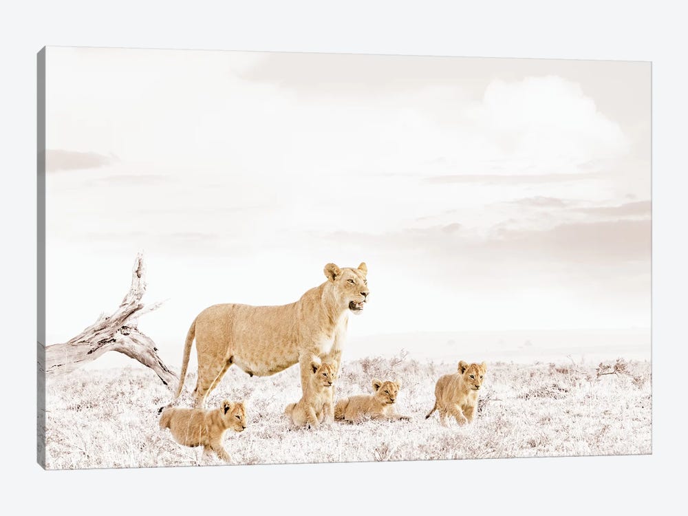 White Lioness & Cub by Klaus Tiedge 1-piece Canvas Print