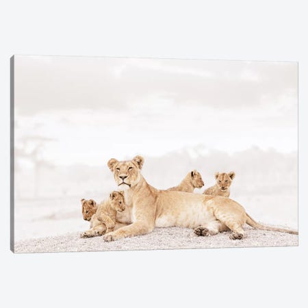 White Lioness & Cubs Canvas Print #KTI31} by Klaus Tiedge Canvas Artwork