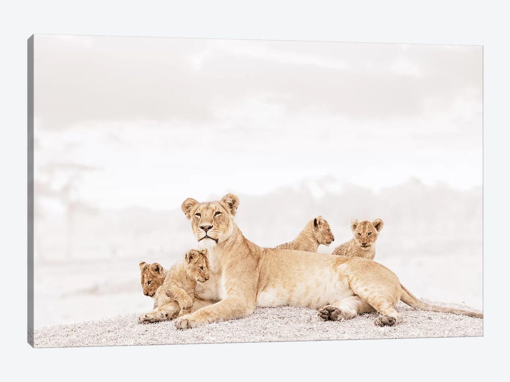 White Lioness & Cubs by Klaus Tiedge 1-piece Canvas Wall Art
