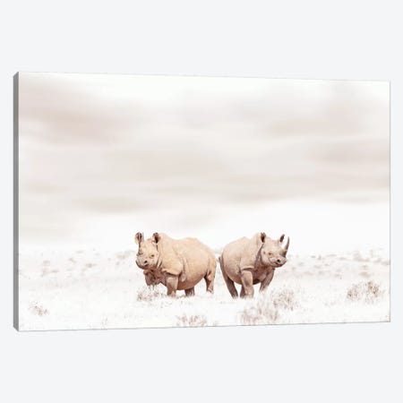 White Rhino Duo Canvas Print #KTI32} by Klaus Tiedge Canvas Art