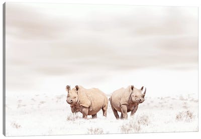 White Rhino Duo Canvas Art Print