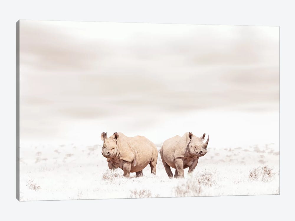 White Rhino Duo by Klaus Tiedge 1-piece Art Print
