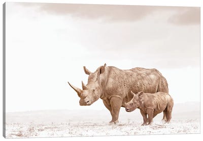 White Rhino Mom & Calf Canvas Art Print - Rhinoceros Art