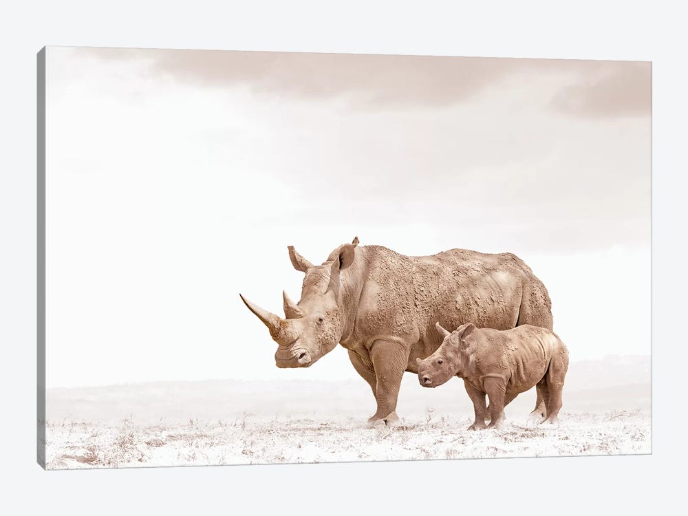 White Rhino Mom & Calf by Klaus Tiedge 1-piece Canvas Artwork