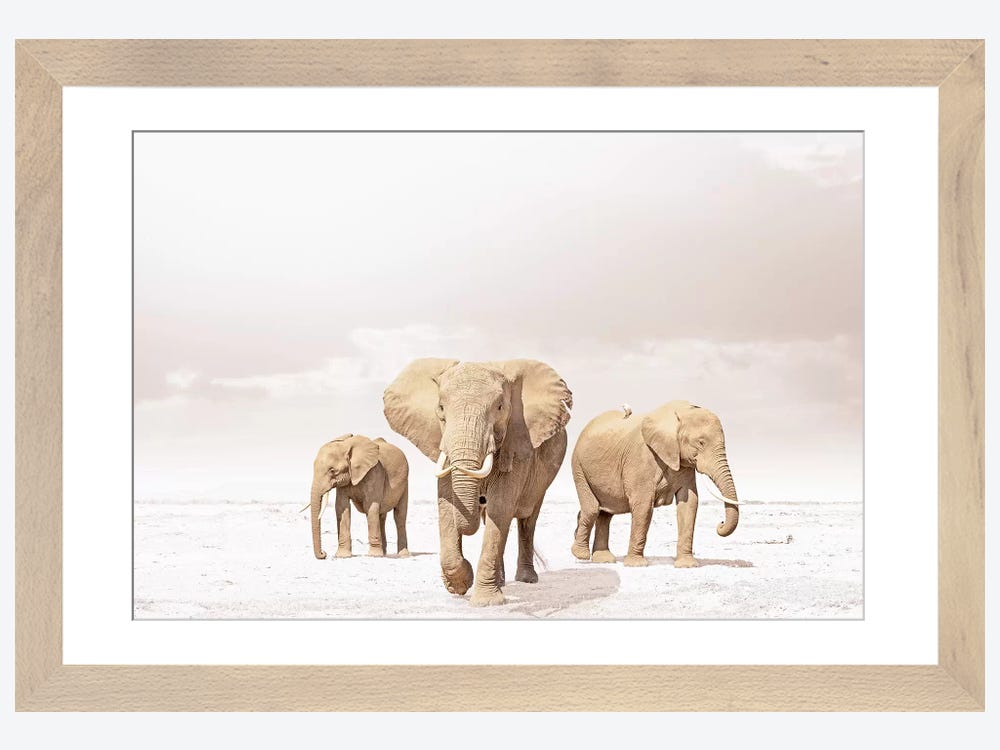 Two Elephants Savannah Canvas Wall Art - Modern Wood Framed Oil