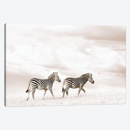 White Zebra Duo Canvas Print #KTI36} by Klaus Tiedge Canvas Print