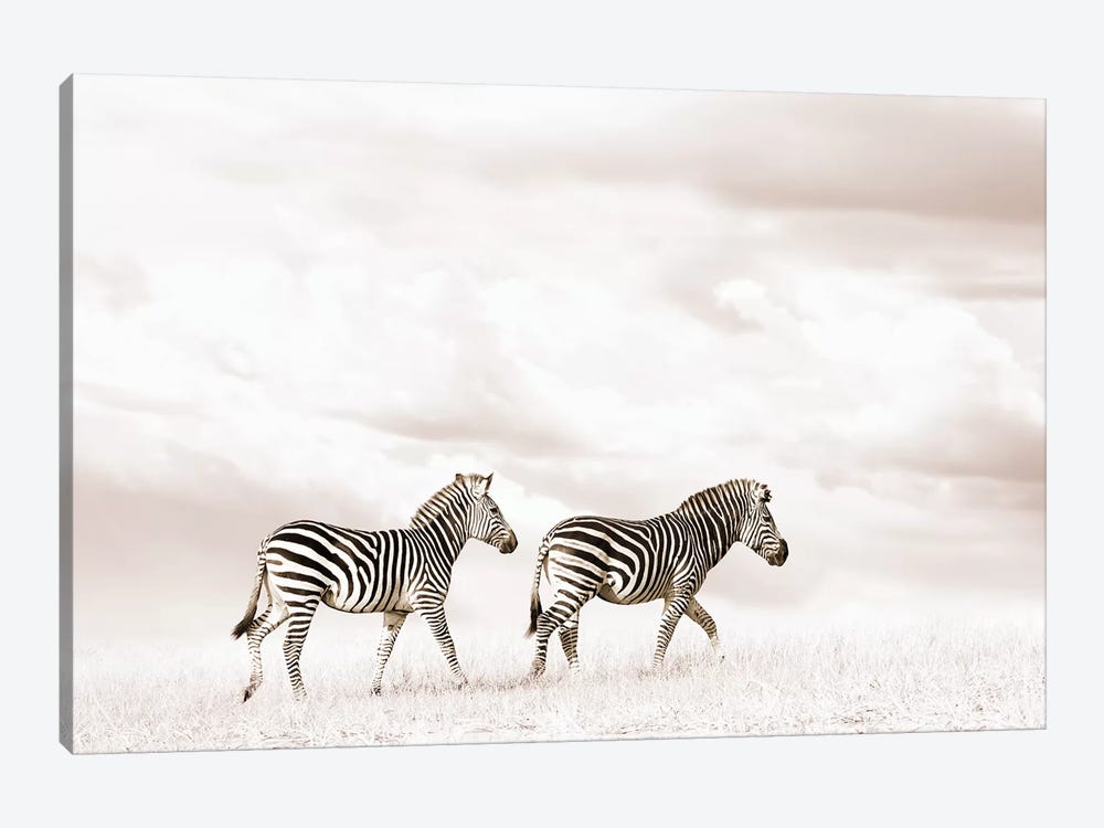 White Zebra Duo by Klaus Tiedge 1-piece Art Print