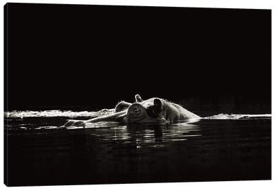B&W Hippo At Waters Edge Canvas Art Print - Klaus Tiedge