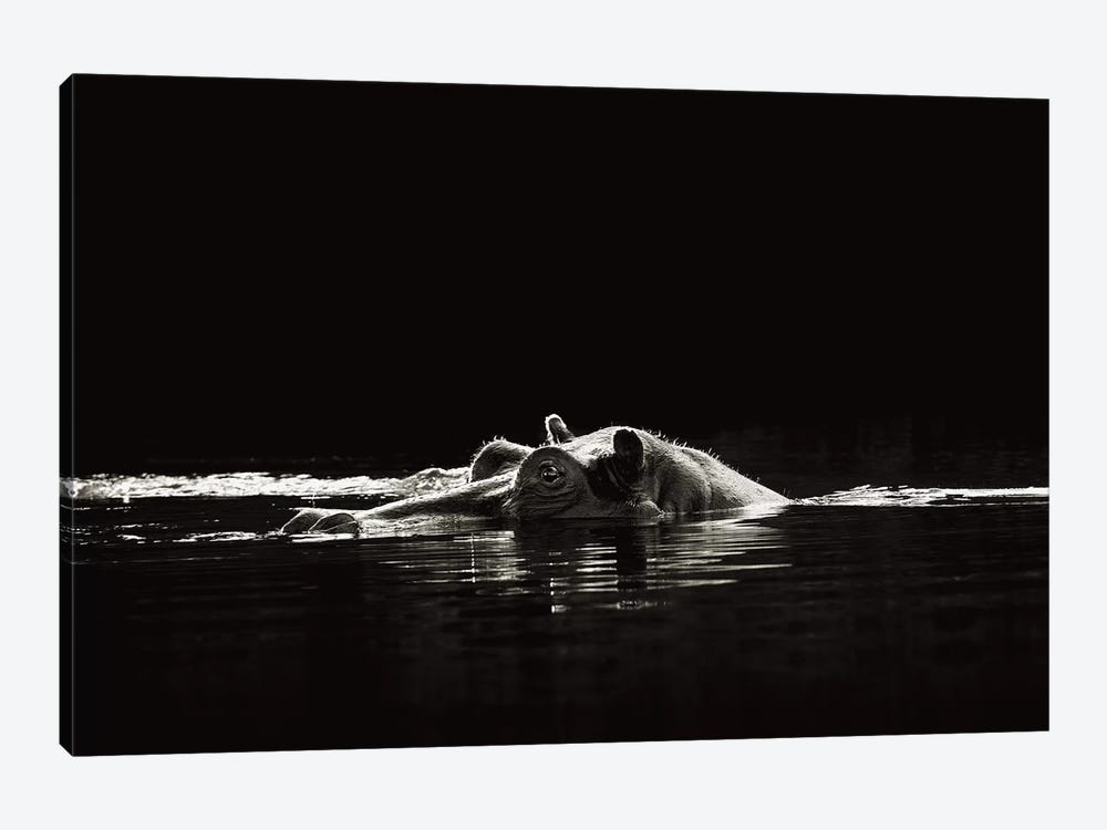B&W Hippo At Waters Edge by Klaus Tiedge 1-piece Art Print