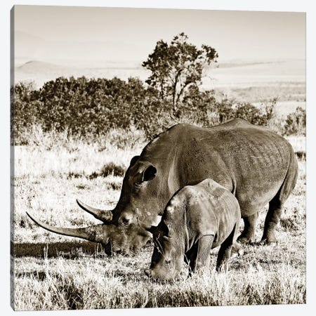 Bonded Rhino Canvas Print #KTI57} by Klaus Tiedge Canvas Print