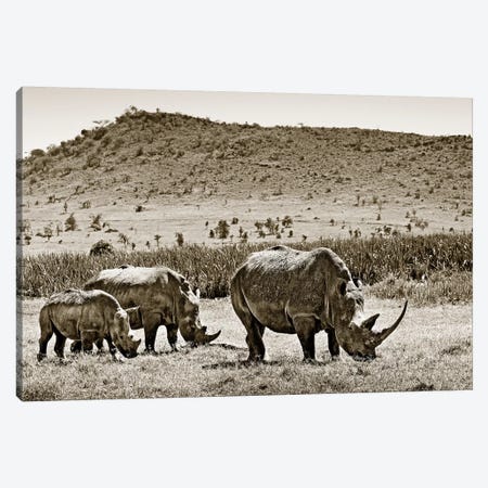 Peaceful Rhinos Canvas Print #KTI77} by Klaus Tiedge Canvas Print