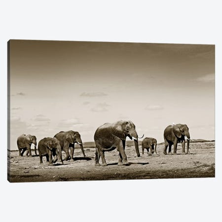 Wide spread Elephants Canvas Print #KTI87} by Klaus Tiedge Canvas Wall Art