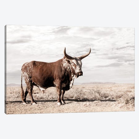 Nguni Cow Standing Canvas Print #KTI89} by Klaus Tiedge Canvas Print