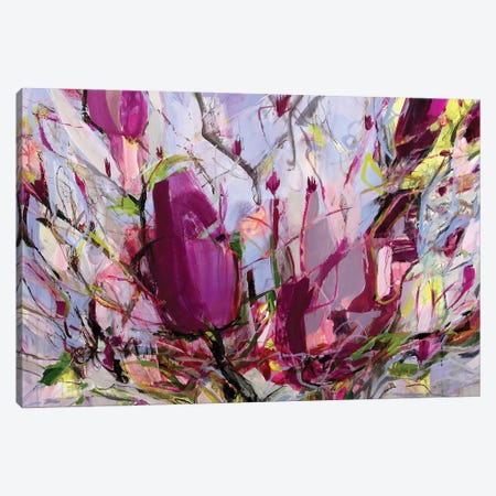 Magnolia Blossoms Canvas Print #KTJ5} by Kati Bujna Art Print