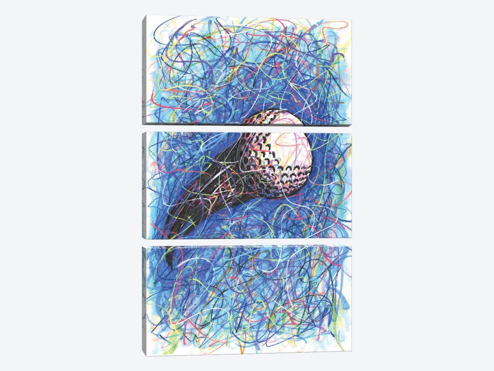 Golf Ball by Kitslam 3-piece Canvas Print