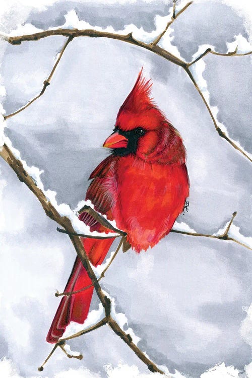 Cardinal