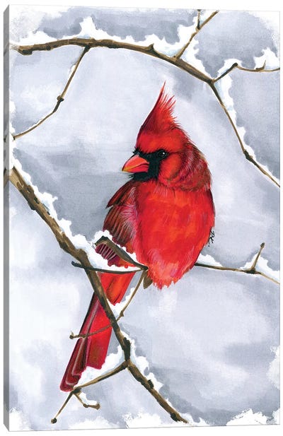 Cardinal Canvas Art Print - Katerina Pashegor