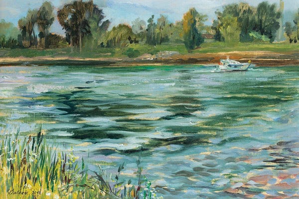 Katharina Valeeva: Summer On The Rhine by Katharina Valeeva