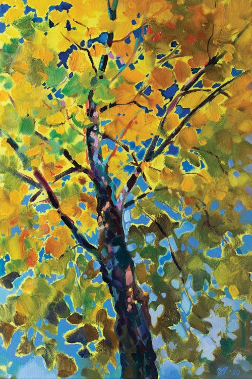 Sunny Tree by Katharina Valeeva wall art