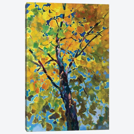 Sunny Tree Canvas Print #KTV108} by Katharina Valeeva Canvas Wall Art