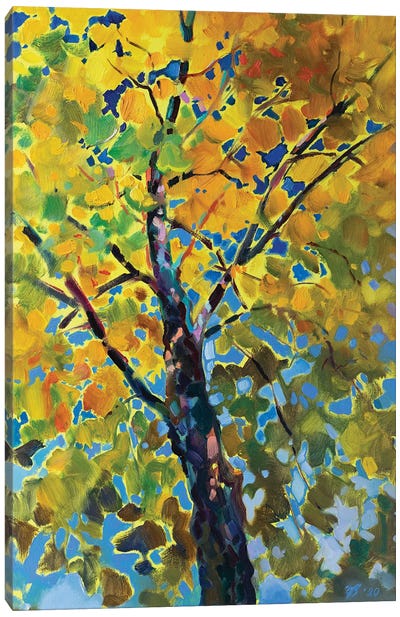 Sunny Tree Canvas Art Print - Katharina Valeeva