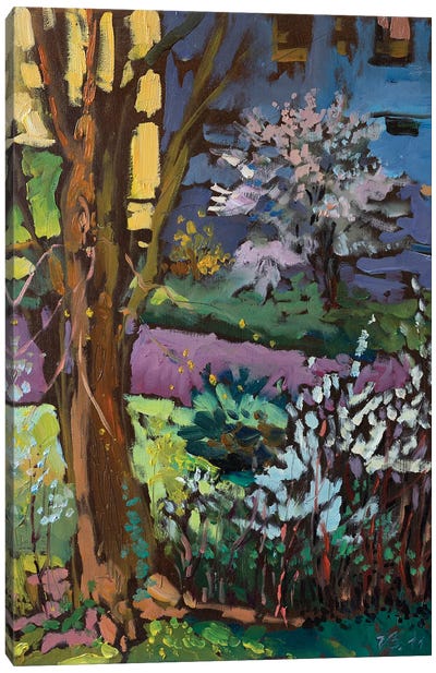 The Beginning Of Spring Canvas Art Print - Katharina Valeeva