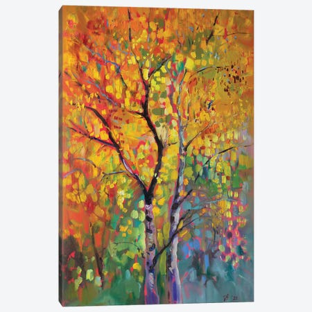 Birch Forest In Autumn Canvas Print #KTV11} by Katharina Valeeva Canvas Art Print