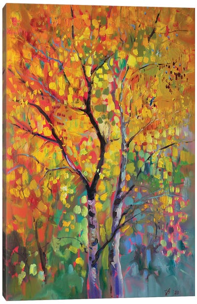 Birch Forest In Autumn Canvas Art Print - Enchanted Forests