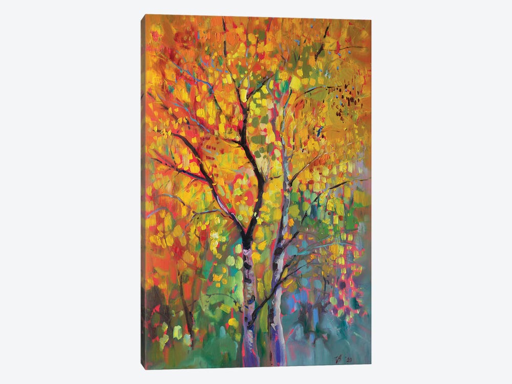 Birch Forest In Autumn by Katharina Valeeva 1-piece Canvas Print