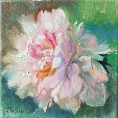 Delicate Peony Flower by Katharina Valeeva framed wall art