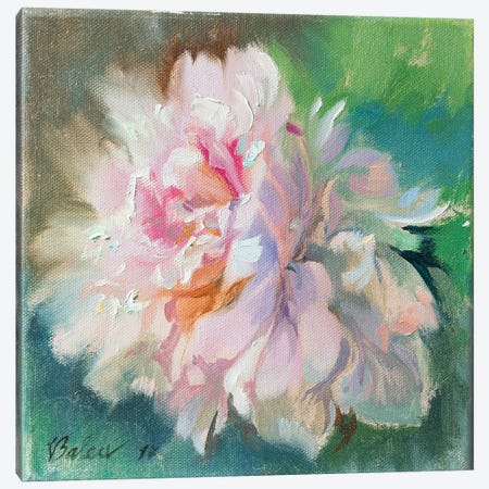 Delicate Peony Flower Canvas Print #KTV27} by Katharina Valeeva Canvas Art Print