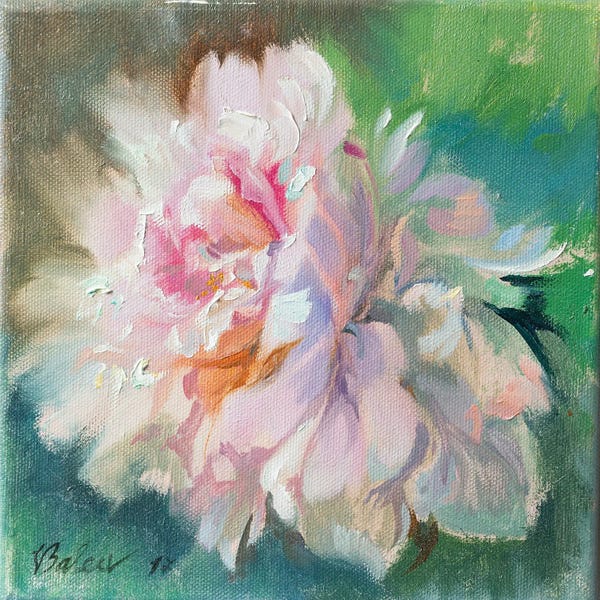 Peonies: Delicate Peony Flower by Katharina Valeeva