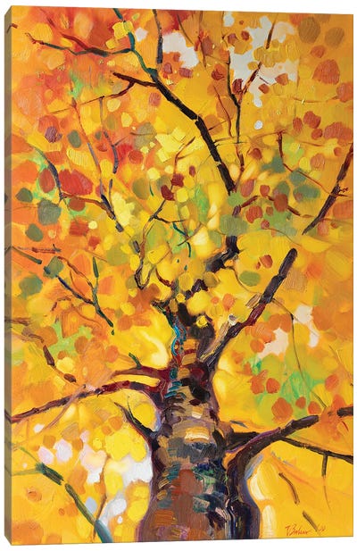 Golden Tree Canvas Art Print - Katharina Valeeva