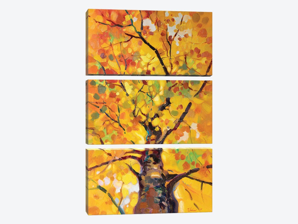 Golden Tree by Katharina Valeeva 3-piece Canvas Art Print