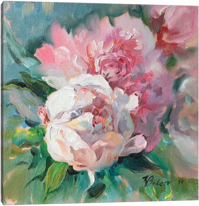 Pink Peonies Canvas Art Print - Katharina Valeeva