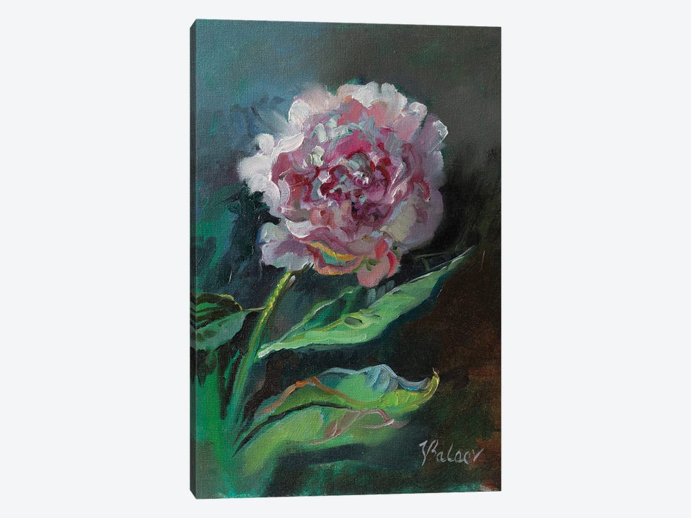 Pink Peony Flower by Katharina Valeeva 1-piece Canvas Artwork
